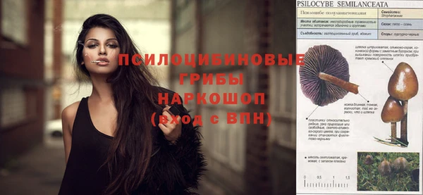 ECSTASY Абдулино