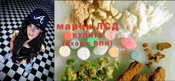 тгк Алзамай