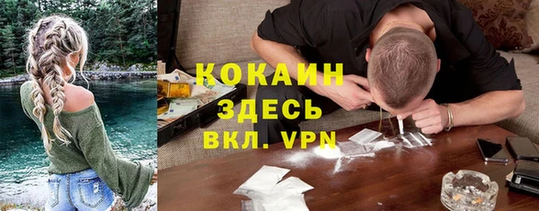 тгк Алзамай