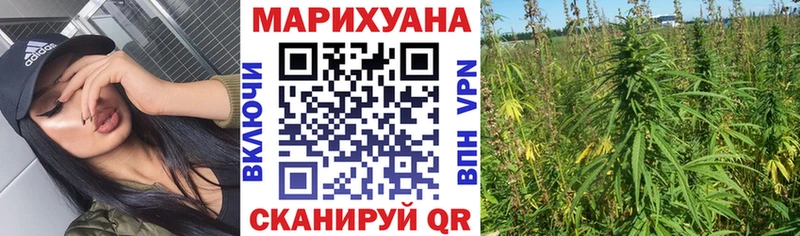 Конопля планчик  hydra ONION  Темрюк  закладка 